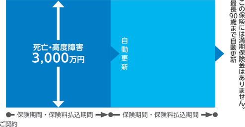 第1保険期間 死亡保険金額500万円～505万円 第2保険期間 死亡保険金額510万円